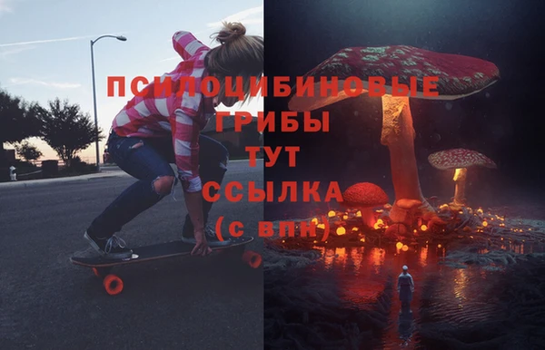 гидропоника Балахна