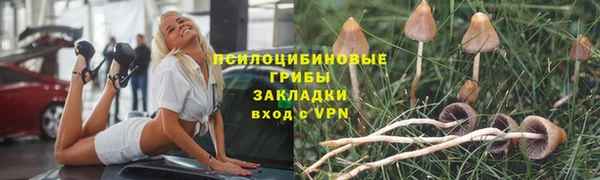 mdpv Баксан